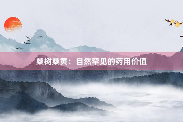 桑树桑黄：自然罕见的药用价值